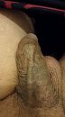slap en nat, foto 2246x4000, 0 reacties, 2 stemmen