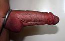 stijf met ring, foto 2958x1913, 3 reacties, 16 stemmen