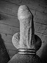 strak, foto 3000x4000, 1 reacties, 18 stemmen