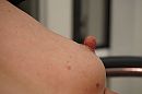 tepel in beeld, foto 4000x2666, 19 reacties, 66 stemmen