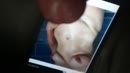 voor Peeping, film 00:00:18, 8 reacties, 24 stemmen