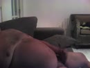 voor des, film 00:00:27, 3 reacties, 15 stemmen