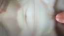 voor justbihappy, film 00:00:09, 9 reacties, 29 stemmen