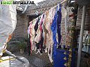 voor vriendin .bibi_bbw .xx, foto 550x412, 4 reacties, 7 stemmen