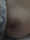 wakker worden, foto 3000x4000, 21 reacties, 81 stemmen