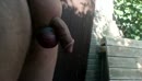 wandeling, film 00:00:00, 6 reacties, 13 stemmen