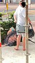 wat men ziet op vakantie, foto 539x960, 1 reacties, 18 stemmen