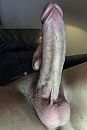 welke v wil deze vanavond?, foto 800x1188, 6 reacties, 17 stemmen