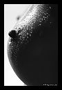 wet and wild, foto 2773x4000, 5 reacties, 18 stemmen