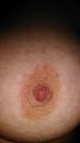 wie, foto 296x526, 5 reacties, 35 stemmen