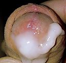 wie wil proeven, foto 608x588, 4 reacties, 8 stemmen