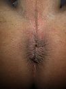 wie wilt ?, foto 481x640, 66 reacties, 177 stemmen