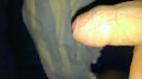 wordt wakker, foto 3264x1836, 1 reacties, 4 stemmen