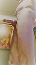 xxx, foto 1313x2322, 2 reacties, 3 stemmen