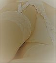-x-, foto 344x384, 40 reacties, 134 stemmen