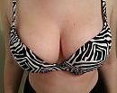 #183, foto 3734x2971, 39 reacties, 197 stemmen