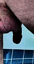 239, foto 1276x2332, 0 reacties, 0 stemmen