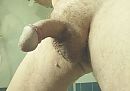 251, foto 2996x2121, 4 reacties, 5 stemmen