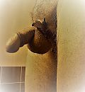 288, foto 1831x1974, 0 reacties, 0 stemmen