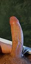 ;P, foto 1944x4000, 1 reacties, 3 stemmen
