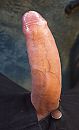 ;P, foto 2148x3522, 2 reacties, 4 stemmen