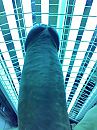 4, foto 2320x3088, 5 reacties, 7 stemmen