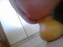 8,5cm, foto 2048x1536, 2 reacties, 4 stemmen