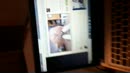 A real is better inseminator, film 00:00:14, 1 reacties, 4 stemmen