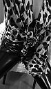 About last night, foto 1387x2415, 6 reacties, 55 stemmen