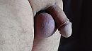 Afgebonden Ballen, foto 3984x2240, 0 reacties, 1 stemmen