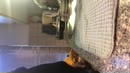 Afwassen, maar dan anders, film 00:00:00, 0 reacties, 5 stemmen