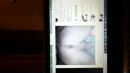 Also fun to do, film 00:00:16, 1 reacties, 5 stemmen