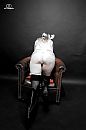 Aletta, foto 912x1368, 1 reacties, 24 stemmen