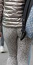 Avond4daagse, foto 1639x3168, 0 reacties, 10 stemmen