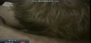 BEFFEN, film 00:00:00, 2 reacties, 12 stemmen