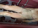 Bad, foto 4000x3000, 52 reacties, 143 stemmen