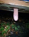 Bankzitten, foto 3150x4000, 4 reacties, 16 stemmen