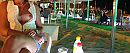 Beachbar..., foto 4000x1665, 20 reacties, 160 stemmen