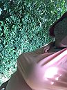 Bibi BBW voor Date, foto 960x1280, 0 reacties, 11 stemmen