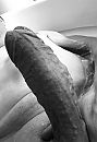 Black & white, foto 880x1280, 0 reacties, 0 stemmen