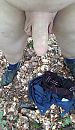Blote kont, foto 720x1232, 12 reacties, 42 stemmen