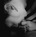 Blowjob, foto 2912x3015, 4 reacties, 13 stemmen
