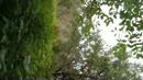 Boswandeling met speeltje om, film 00:00:00, 42 reacties, 76 stemmen