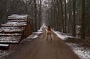 Brrrrrr....., foto 4000x2666, 42 reacties, 245 stemmen