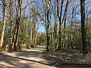 Buiten, foto 4000x3000, 1 reacties, 5 stemmen