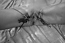 Buitensessie....., foto 4000x2666, 5 reacties, 25 stemmen