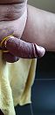COCK fun1, foto 1943x4000, 28 reacties, 92 stemmen