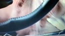 Carplay, I love sales!, film 00:00:00, 6 reacties, 106 stemmen