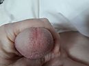 Close-up, foto 4000x3000, 1 reacties, 5 stemmen