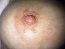 Close up, foto 1536x1152, 4 reacties, 15 stemmen